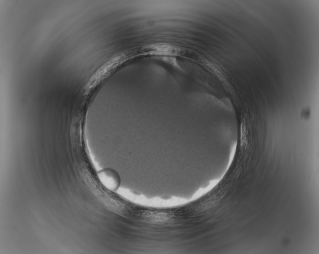 X0000114640349200912011054