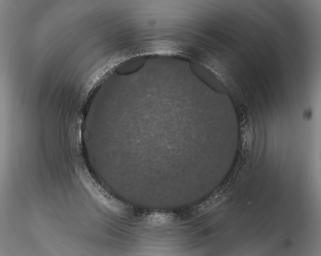 X0000114640350200912011054