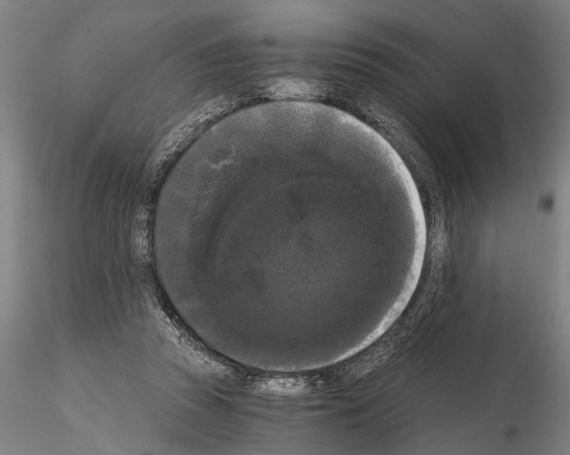 X0000114640353200912011054