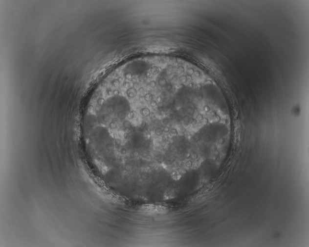 X0000114640354200912011054