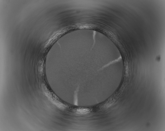 X0000114640357200912011054