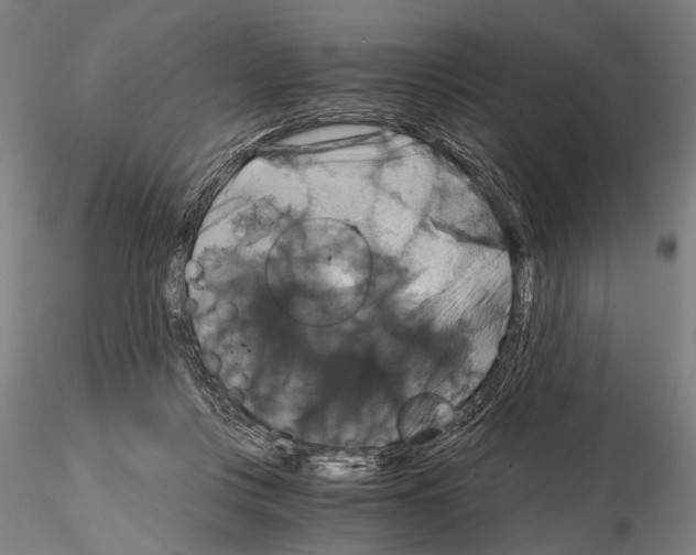 X0000114640359200912011054