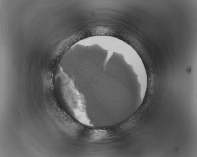 X0000114640361200912011054