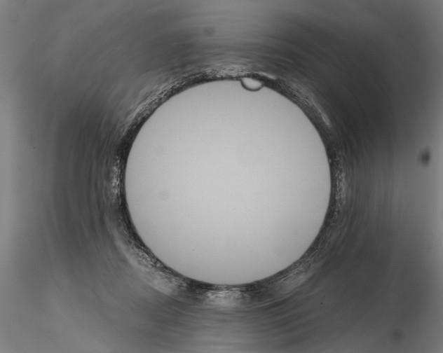 X0000114640362200912011054