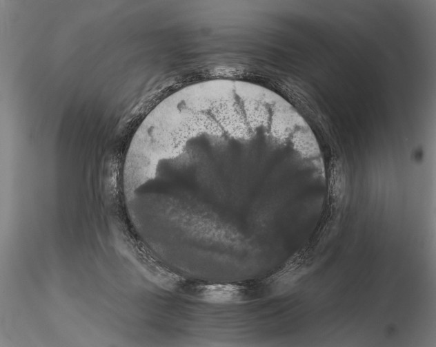 X0000114640363200912011054