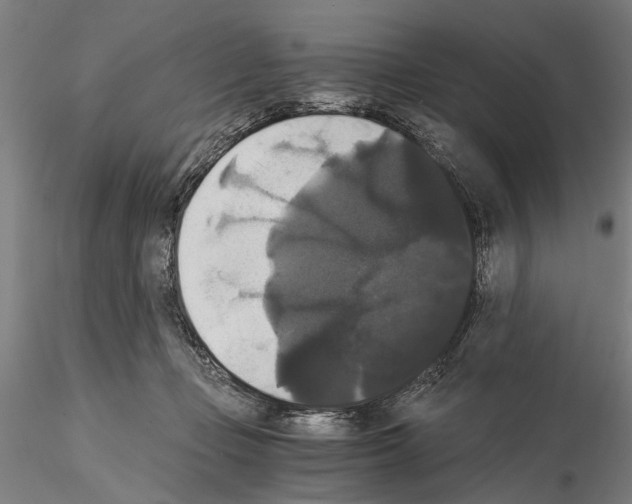 X0000114640365200912011054