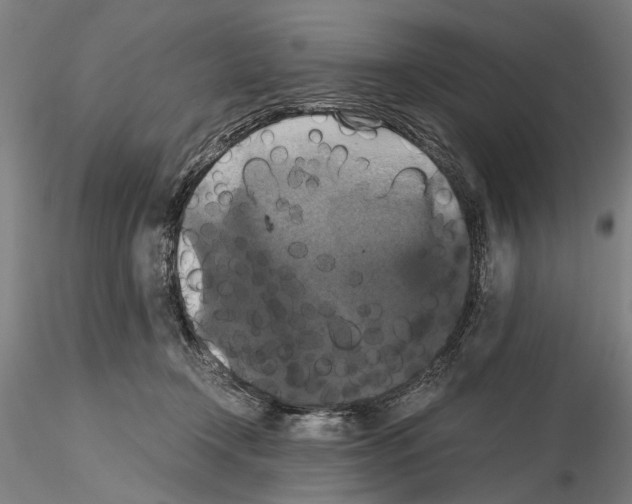 X0000114640366200912011054