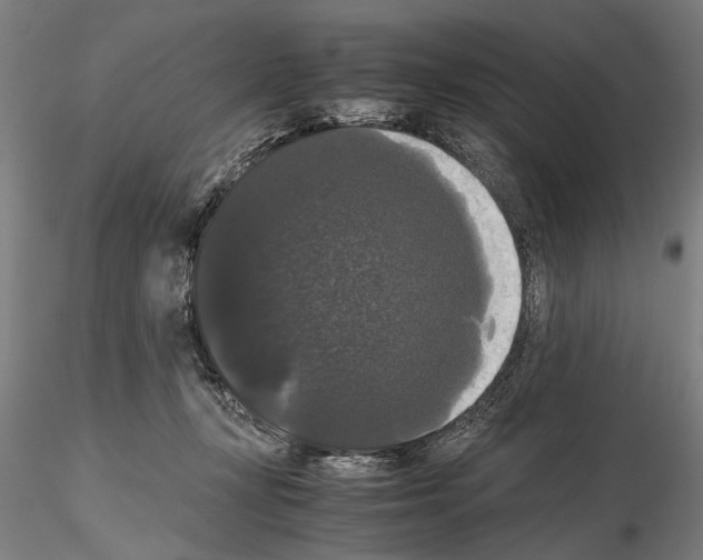 X0000114640367200912011054