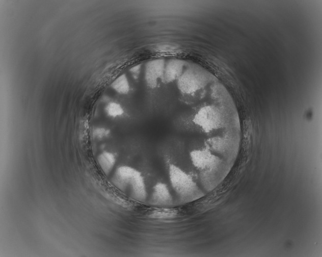 X0000114640369200912011054