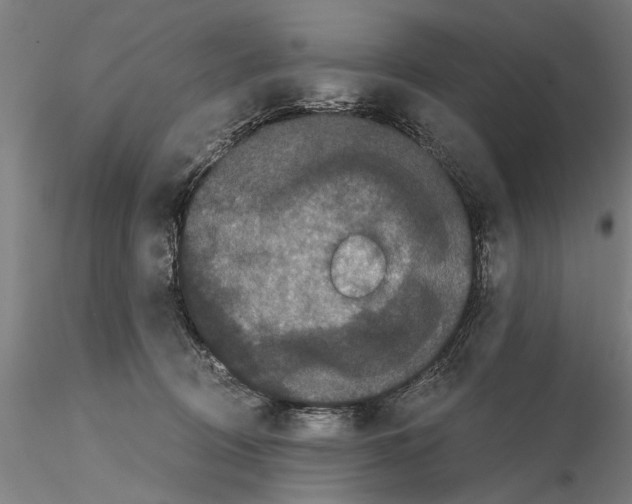 X0000114640370200912011054