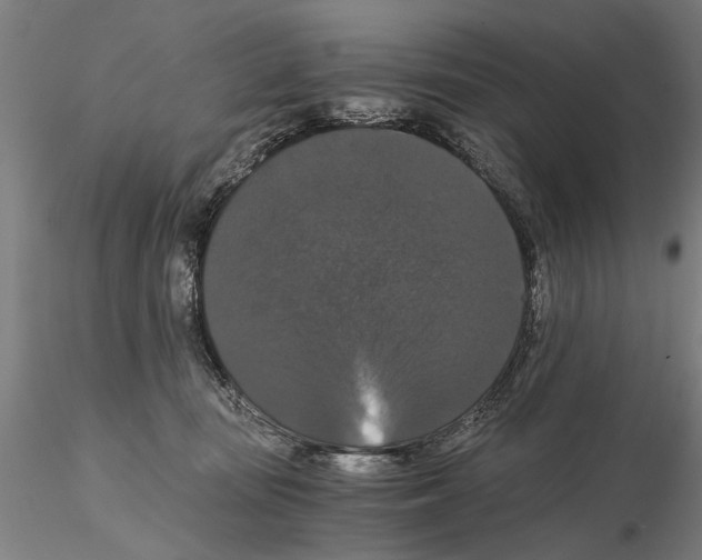 X0000114640371200912011054