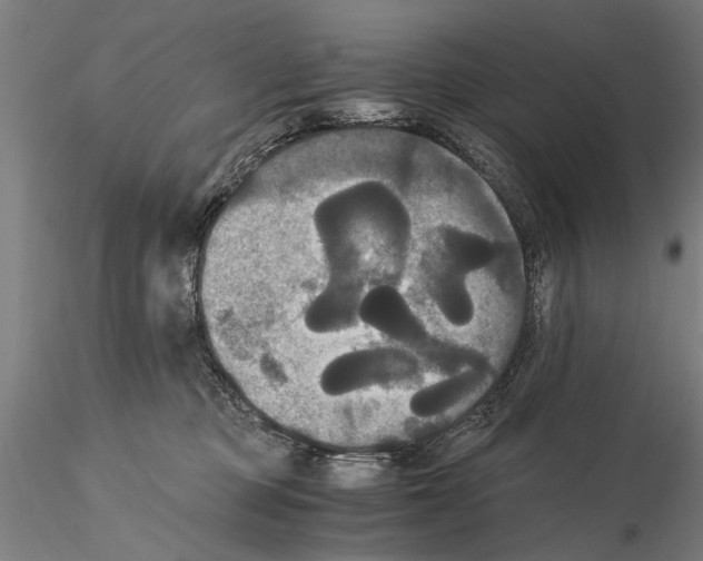 X0000114640373200912011054