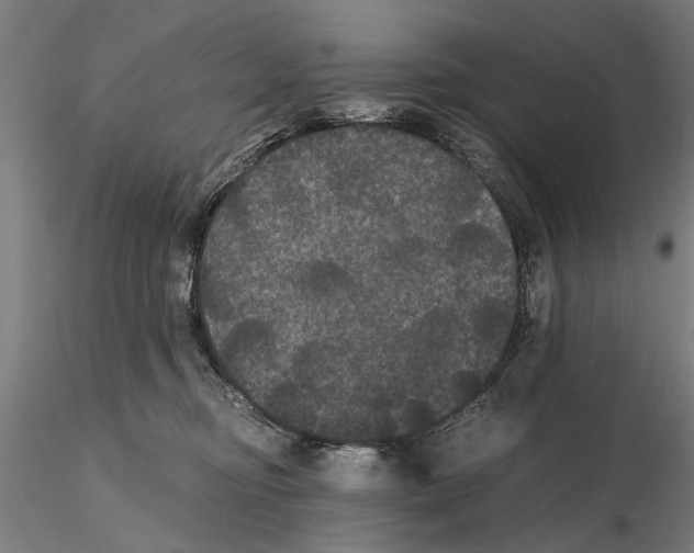 X0000114640374200912011054