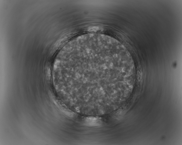 X0000114640375200912011054