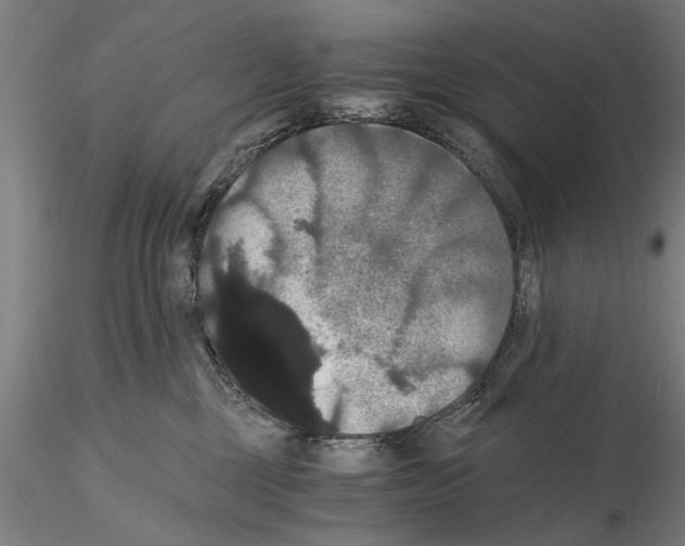 X0000114640377200912011054