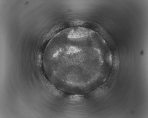 X0000114640378200912011054