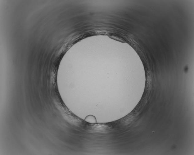 X0000114640379200912011054