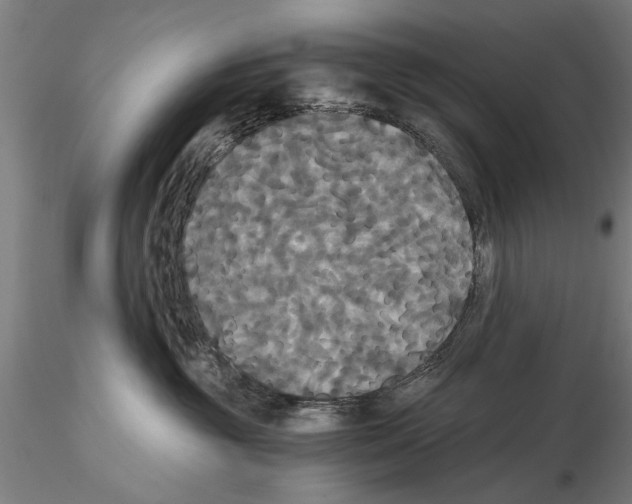 X0000114640381200912011054