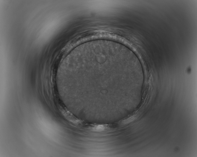 X0000114640382200912011054