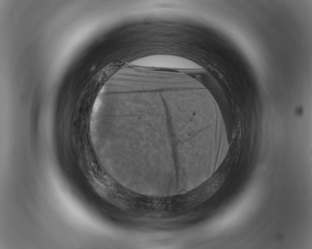 X0000114640383200912011054