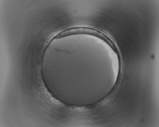 X0000114640385200912011054