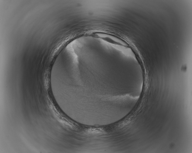 X0000114640386200912011054