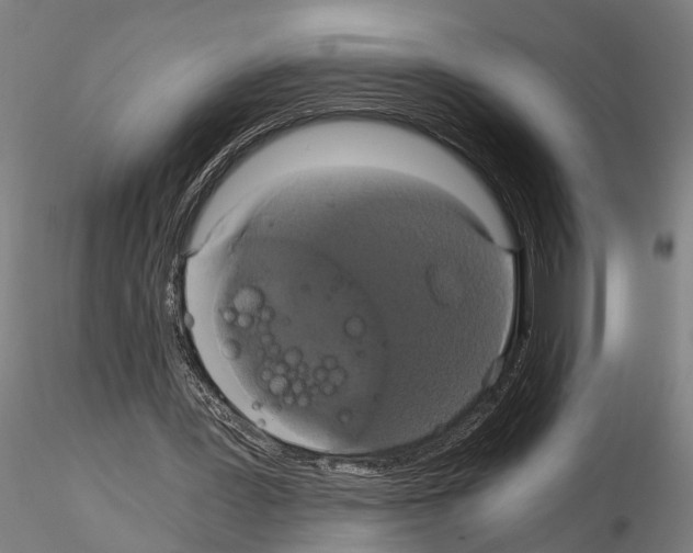 X0000114640387200912011054