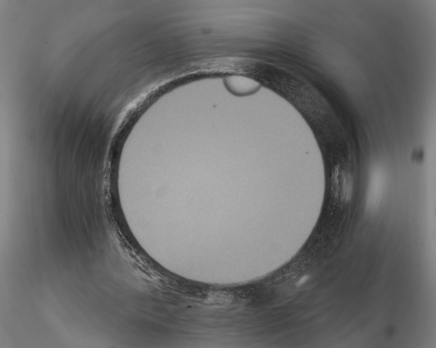 X0000114640388200912011054