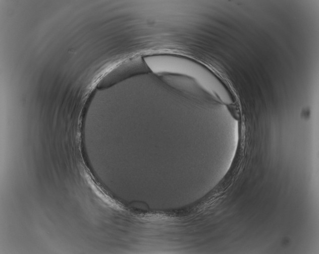 X0000114640389200912011054