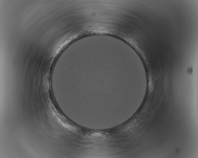 X0000114640390200912011054