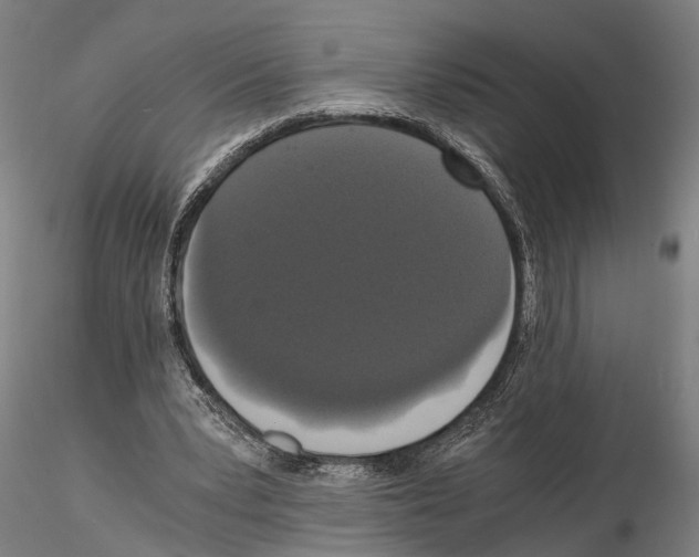 X0000114640391200912011054