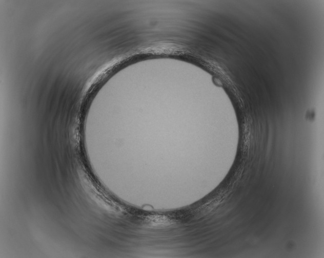 X0000114640392200912011053