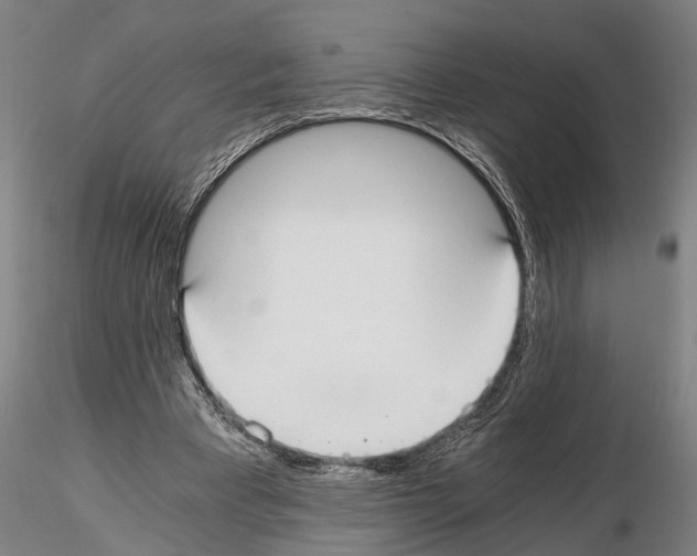 X0000114640393200912011053