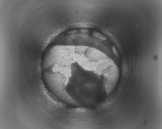 X0000114640394200912011053