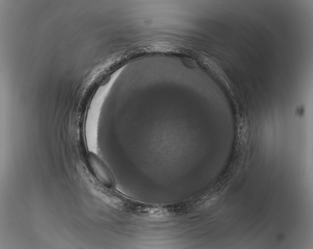 X0000114640395200912011053