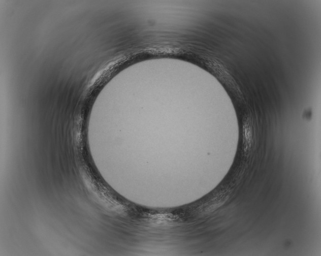 X0000114640396200912011053