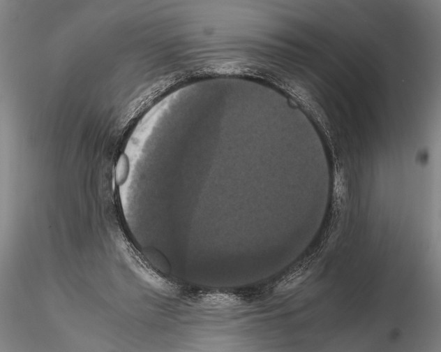 X0000114640397200912011053