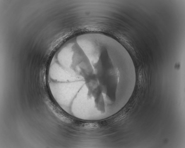 X0000114640398200912011053