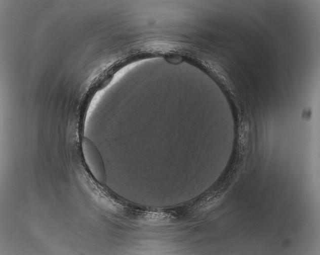 X0000114640399200912011053