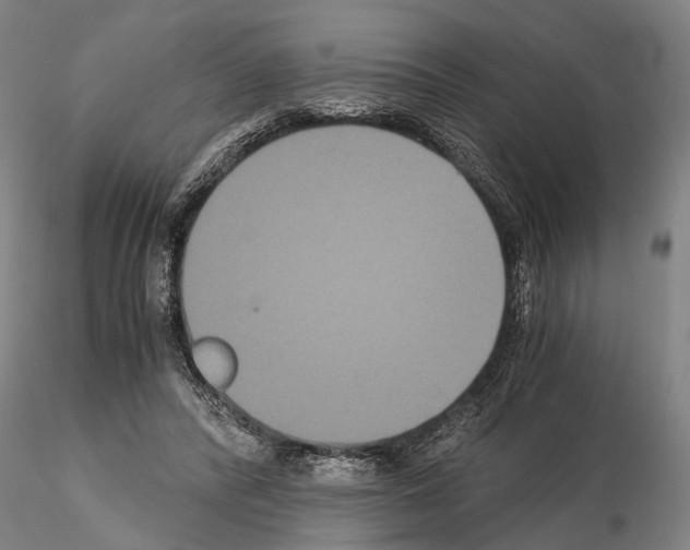 X0000114640400200912011053