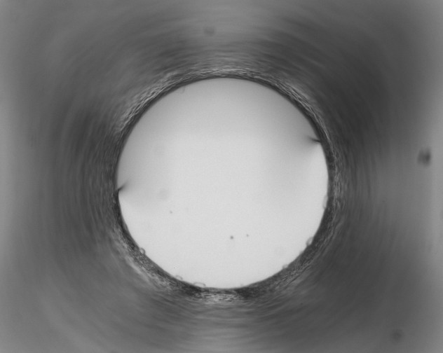 X0000114640401200912011053