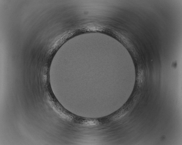 X0000114640402200912011053