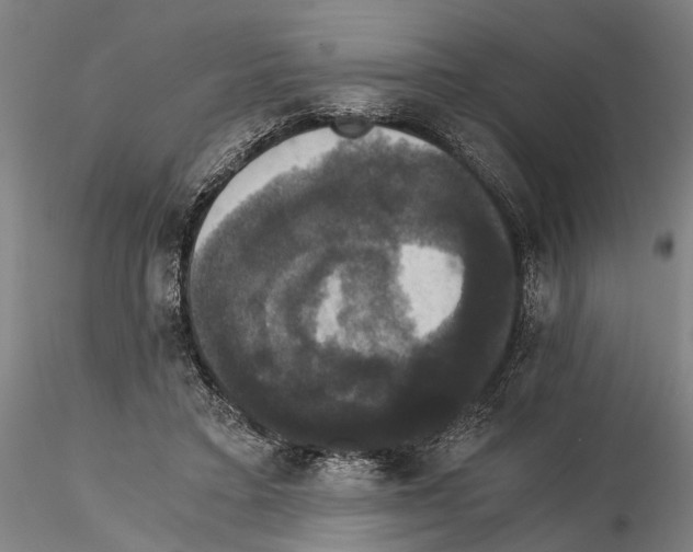 X0000114640403200912011053