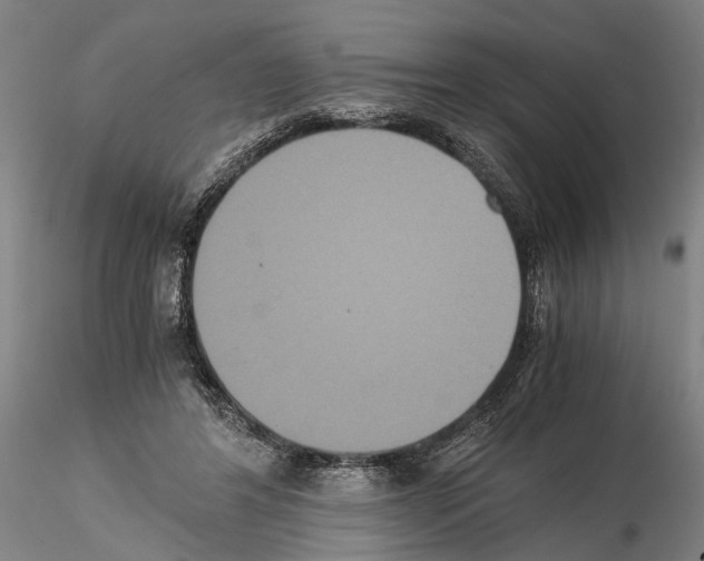 X0000114640404200912011053