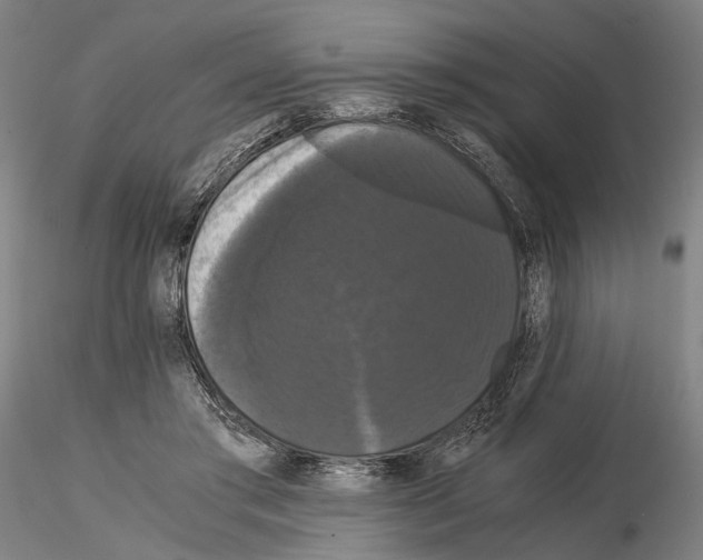 X0000114640405200912011053