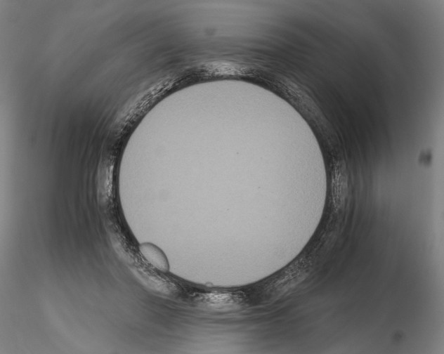 X0000114640406200912011053