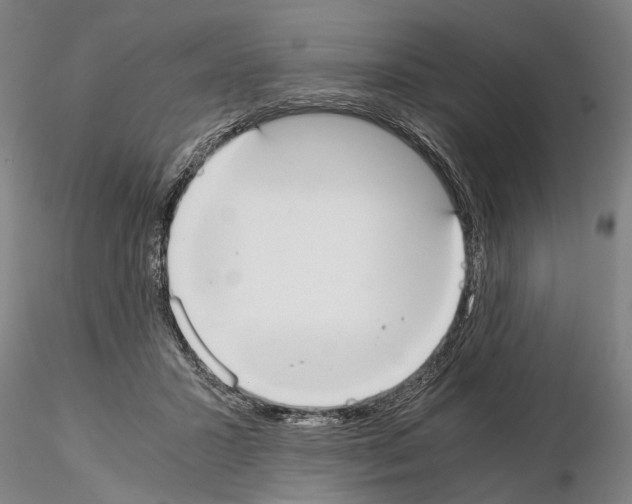 X0000114640407200912011053