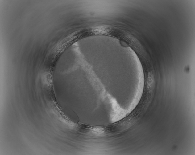 X0000114640409200912011053