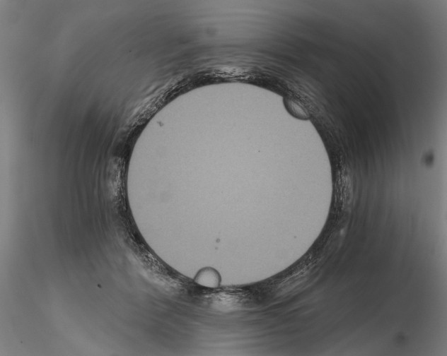 X0000114640412200912011053