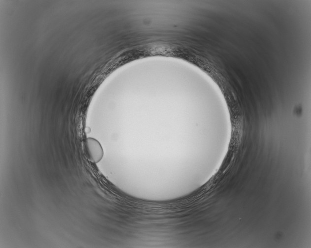 X0000114640413200912011053